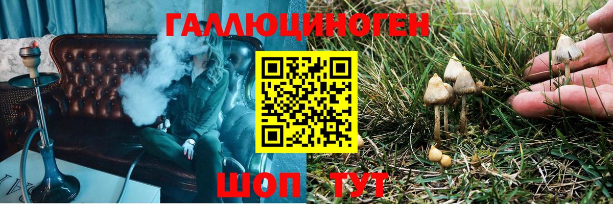 Псилоцибиновые грибы Psilocybine cubensis  Вход с VPN  Псилоцибиновые грибы ЛСД  Армавир 